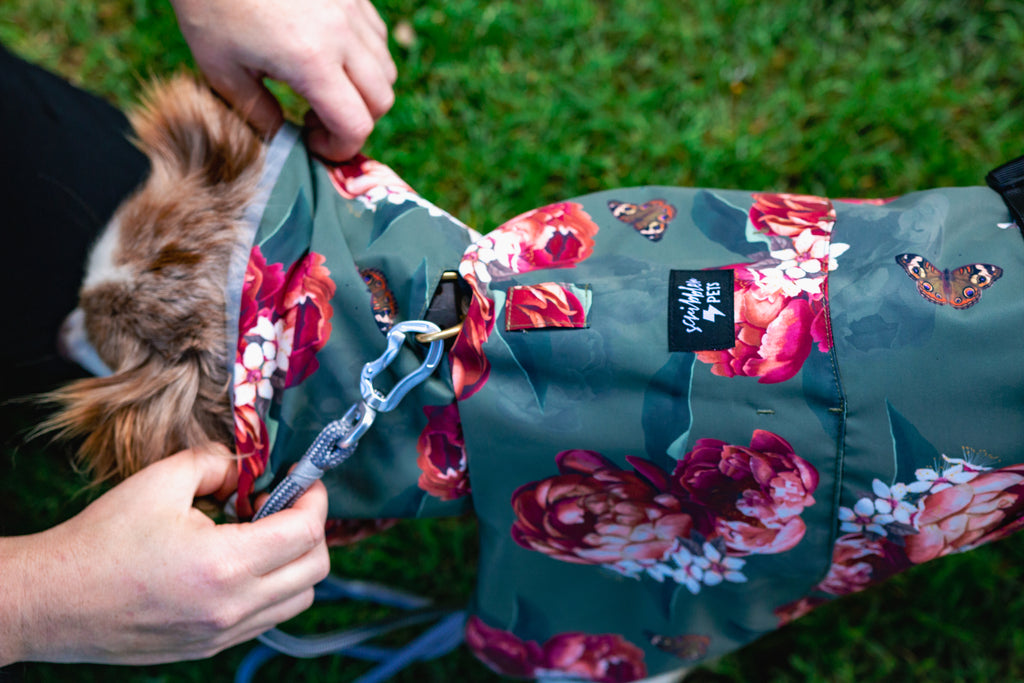 Scribbler pets, waterproof raincoat for dogs, rain jacket for dog, outerwear for dogs, waterproof, seam sealed, recycled plastic, floral print, peony, colourful, printed rainwear for pets, lightweight, sustainable, collar access, lead access, harness access