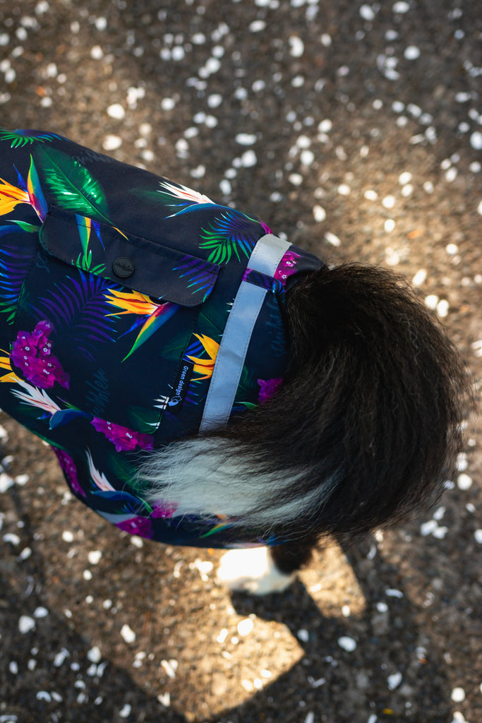 Scribbler pets, waterproof raincoat for dogs, rain jacket for dog, outerwear for dogs, waterproof, seam sealed, recycled plastic, tropical print, bird of paradise, colourful, printed rainwear for pets, reflective strips