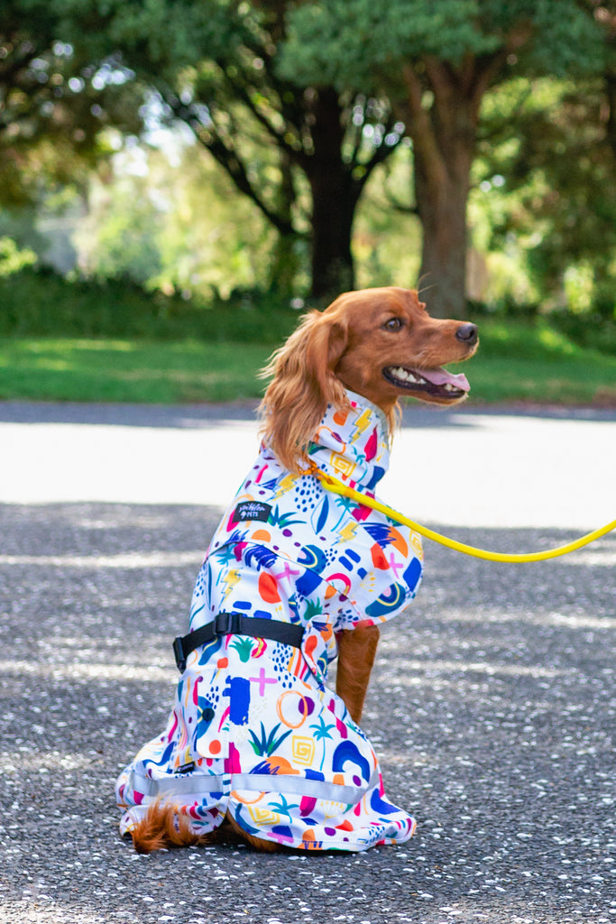 Scribbler pets, waterproof raincoat for dogs, rain jacket for dog, outerwear for dogs, waterproof, seam sealed, recycled plastic, abstract print, colourful, printed rainwear for pets, lightweight, unisex print, sustainable
