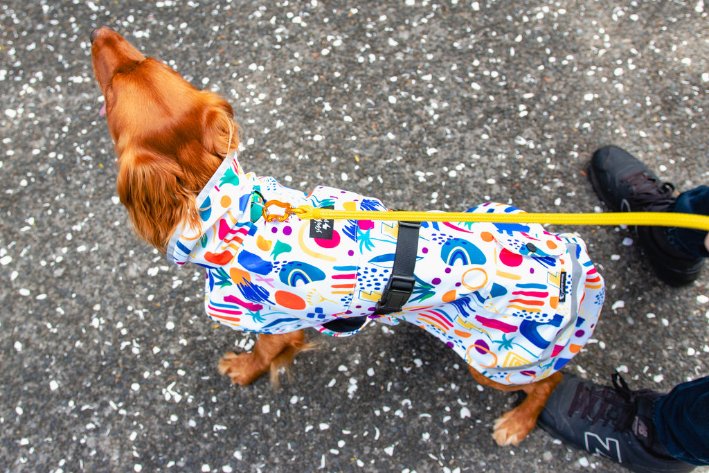Scribbler pets, waterproof raincoat for dogs, rain jacket for dog, outerwear for dogs, waterproof, seam sealed, recycled plastic, abstract print, colourful, printed rainwear for pets, lightweight, collar access, harness access, unisex print, sustainable