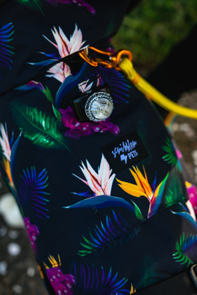 Scribbler pets, waterproof raincoat for dogs, rain jacket for dog, outerwear for dogs, waterproof, seam sealed, recycled plastic, tropical print, bird of paradise, colourful, printed rainwear for pets, light attachment, collar access, harness access