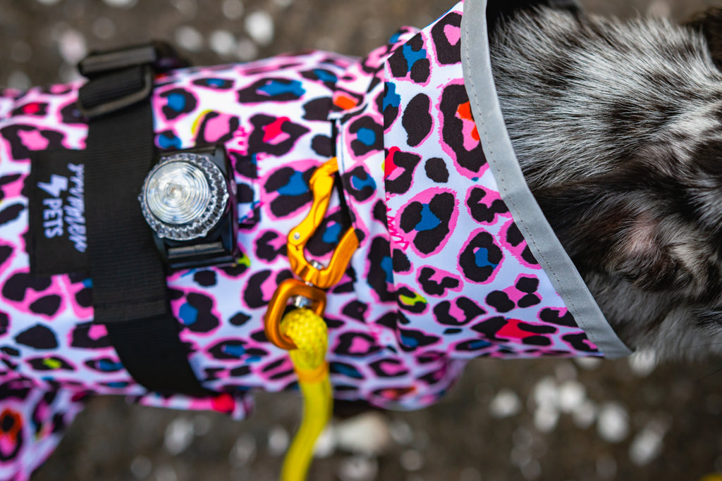 Scribbler pets, waterproof raincoat for dogs, rain jacket for dog, outerwear for dogs, waterproof, seam sealed, recycled plastic, neon leopard print, colourful, printed rainwear for pets, lightweight, collar access, harness access, reflective, light attachment