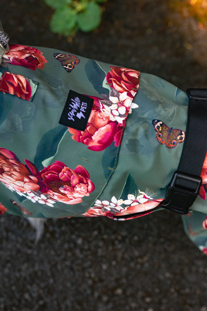 Scribbler pets, waterproof raincoat for dogs, rain jacket for dog, outerwear for dogs, waterproof, seam sealed, recycled plastic, floral print, peony, colourful, printed rainwear for pets, lightweight, sustainable